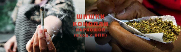 молекула духа Ветлуга
