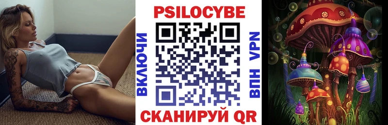 Псилоцибиновые грибы GOLDEN TEACHER  Купить закладки  Канск 